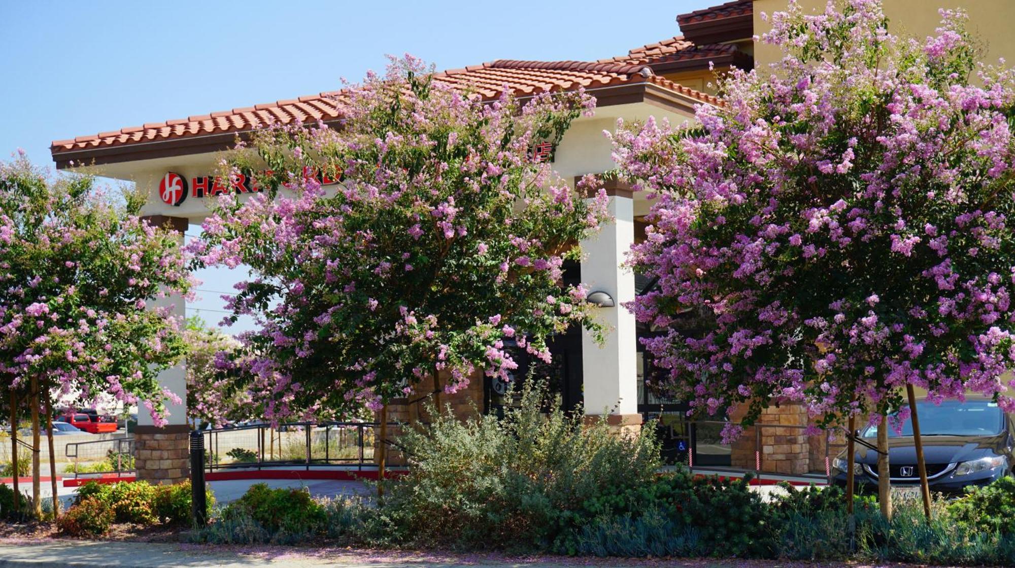 Hartford Hotel Best Western Signature Collection Rosemead Eksteriør billede